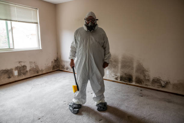 Certified Mold Removal in Taylor Mill, KY